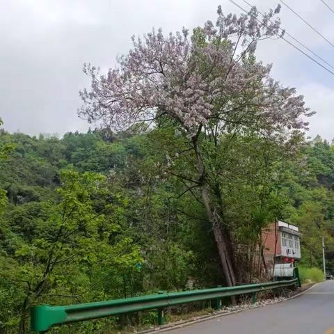 春和景明——记一次研学