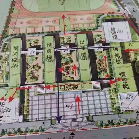 化蝶启征程，笃行绽芳华