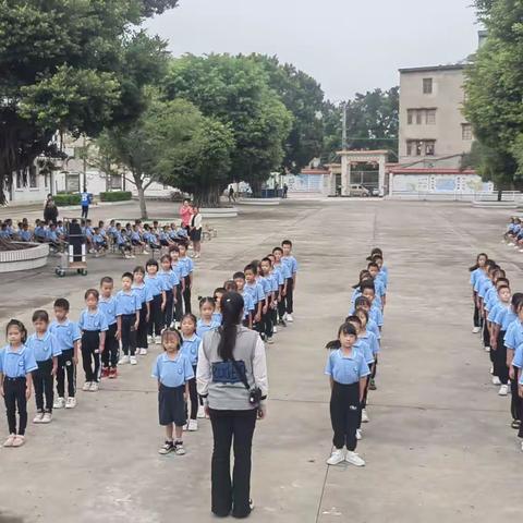 乘“养成”之风，筑“习惯”之路——柳江区进德镇小学2023级学生养成教育评比活动