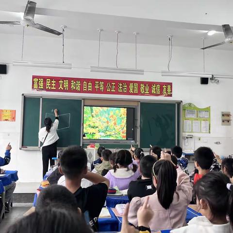 一路成长，一路修行—光山县实验中学小学部语文组校本专题教研活动纪实