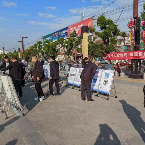 礼泉县粮食和物资储备局开展“世界粮食日和全国粮食安全宣传周”宣传活动