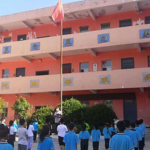 田庄学校一周工作总结