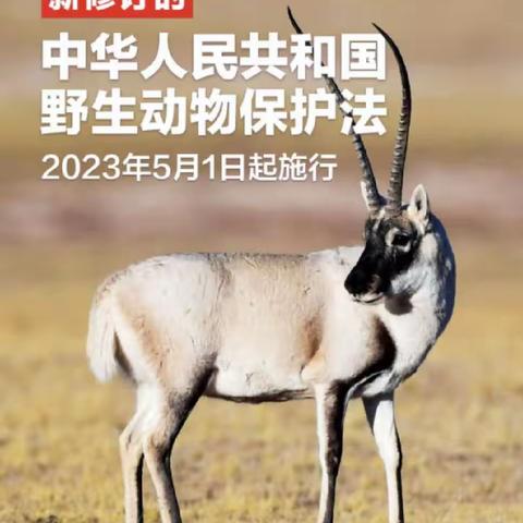 【解读】《中华人民共和国野生动物保护法》