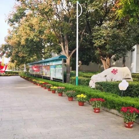 家校共育谱美篇，静待花开助成长——新城中学家长开放日活动