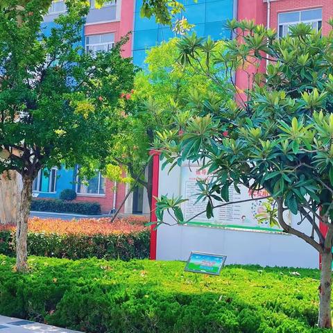 【善城善教  学在前进】家校携手 共话教育——三学部六年级家长会
