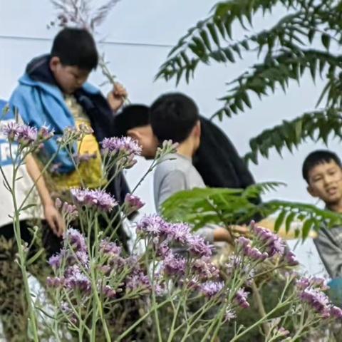 走进秋日，感受家乡之美