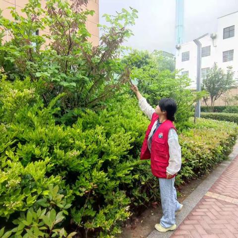基础45网格员开展林木巡查工作