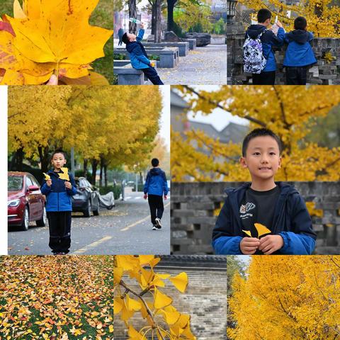 秋冬限定 ——和孩子共赴一场温柔的季节之约