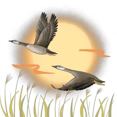 二十四节气——寒露课程故事（王文静）