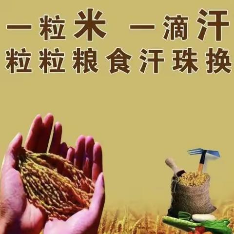 节约粮食 远离浪费——第九周升旗仪式