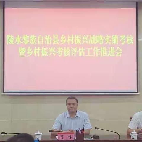 陵水县召开推进乡村振兴取得新成效专项行动暨重点工作调度会