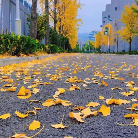 集思广益细分析  戮力同心齐向前——记竹溪县思源实验学校九年级教师工作例会