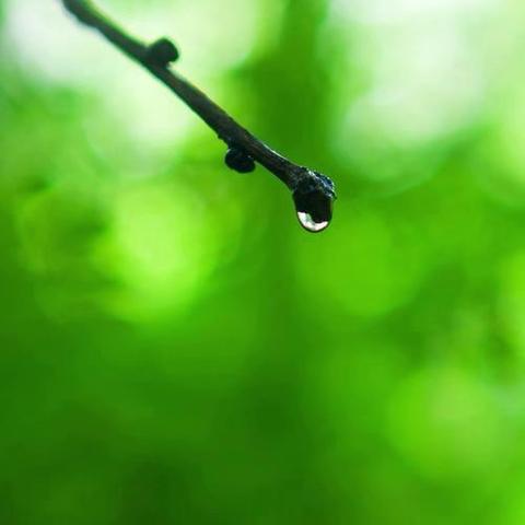 蒸湘区书山路小学“书香润心灵 阅读伴成长”第二季第1️⃣2️⃣期