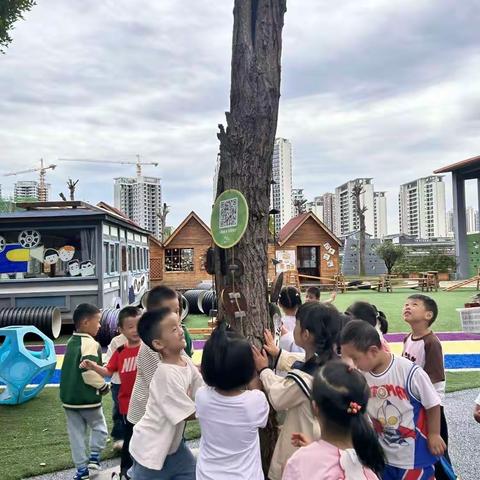 《哇！果子！》