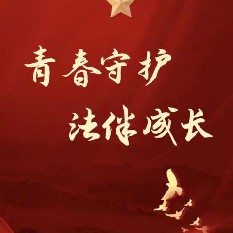 青春守护，法伴成长——何店镇中心学校法治教育系列活动