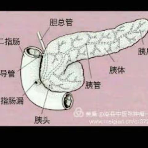 胰腺放射治疗健康宣教