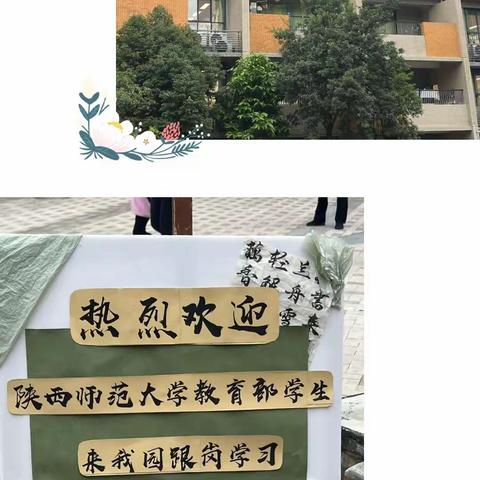 砥砺前行，不负相遇——陕西师范大学教育学部学前教育专业见习之旅