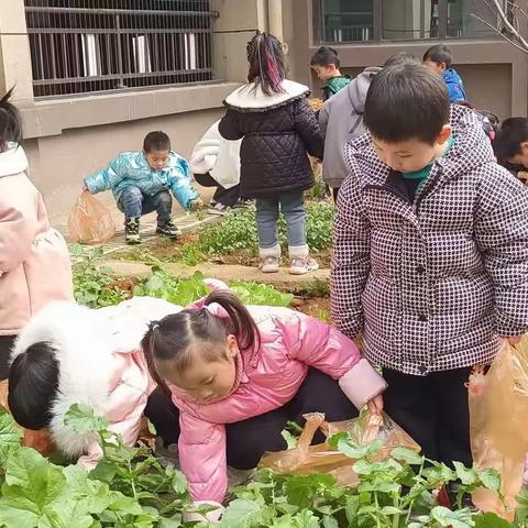 小材料 大用处——润和山水郡幼儿园自然资源及废旧材料收集令