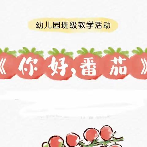 你好！番茄🍅