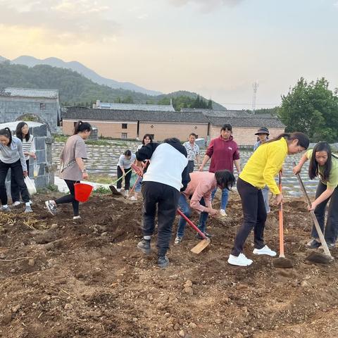 腾冲市马站乡凤仪完全小学“加强劳动教育，争做劳动小能手”劳动教育活动