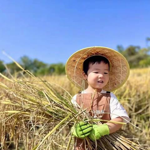 跟着立德幼儿园的小朋友，一起享受丰收的快乐🌾