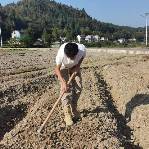 劳动励心智，实践促成长——记合作桥乡中学劳动实践活动