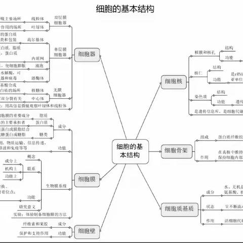 学校：海南省屯昌思源实验中学班级：高二3班指导老师：刘霞