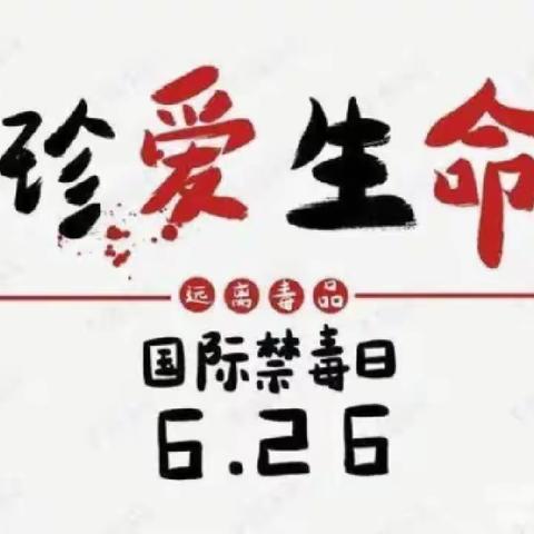 “珍爱生命，远离毒品”盐井镇幼儿园国际禁毒日健康教育主题活动