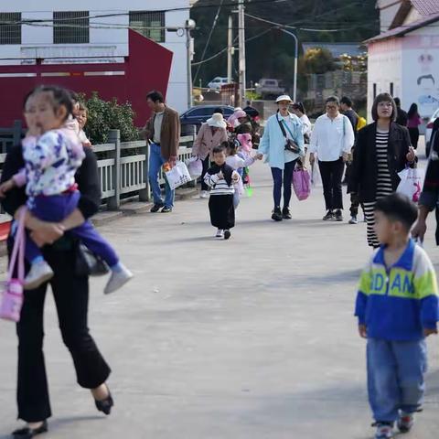 实验幼儿园绿园分园—与你相约，好事“花”生之秋游活动