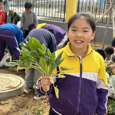 【全环境立德树人，办人民满意教育】轻工小学三年级一班“育”见劳动之美，点亮成长底色劳动实践活动