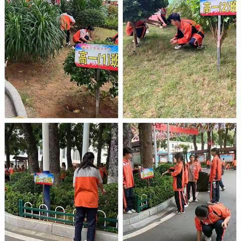 校园志愿者清扫活动