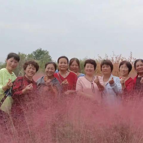 江畔秋游心旷神怡 太极相伴乐享其中