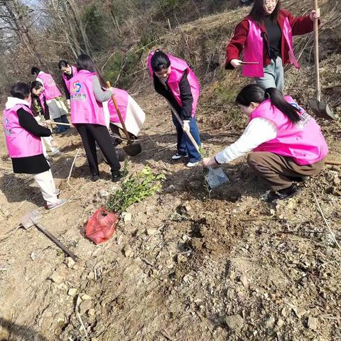 绿意盎然 “植”得期待 ——西河驿村植树节志愿活动