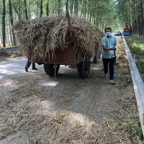 秸秆清理清运助力三夏禁烧