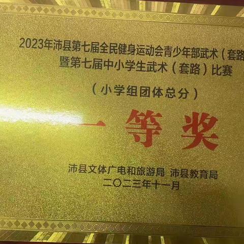 【喜报：一等奖】热烈祝贺沛县杨屯镇中心小学在全县武术比赛中荣获团体一等奖