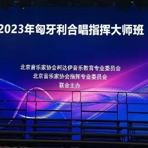 有声共鸣，“音”你美好——宿迁市艺术教师参加2023年匈牙利合唱指挥大师班培训剪影