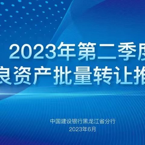 黑龙江省分行成功举办对公不良资产推介会