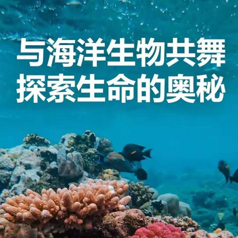 记2024年八3班陵水富力海洋欢乐世界研学记