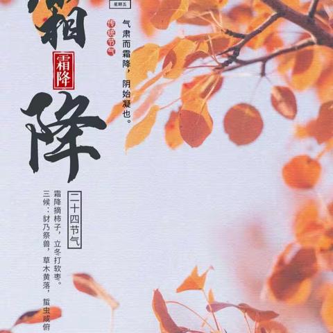 霜降柿子红，时至秋日终——岞山幼儿园开展“霜降”主题教育活动