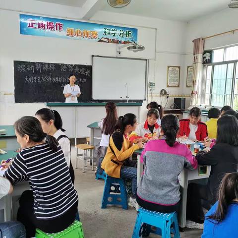 深研新课标  “语”你共成长——容县容州镇大明学区