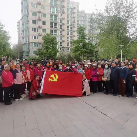 党组织服务群众经费助力家园环境再提升 播下共建种 绽放共享花——时雨园社区“微花园1.0”项目