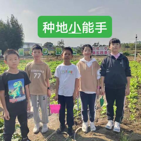 绿野仙踪种菜记--巨化三小六(1)班农事实践活动