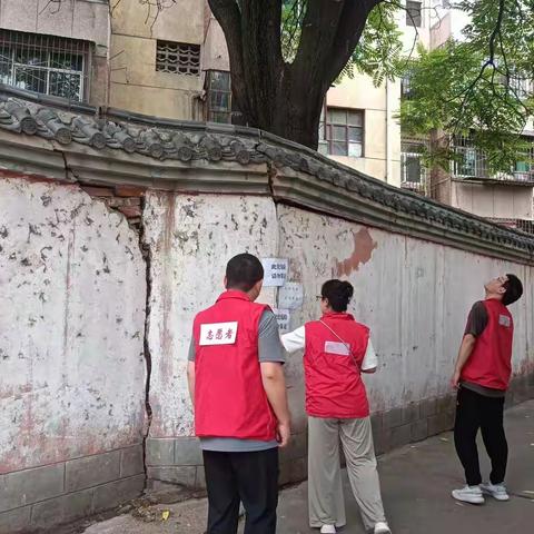 瓦场街社区一周工作总结