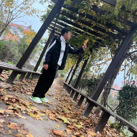 我和秋天有个约会（副本）