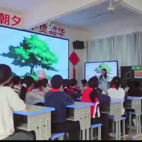 引心向阳，共筑成长——石马小学心理专业素养教研活动