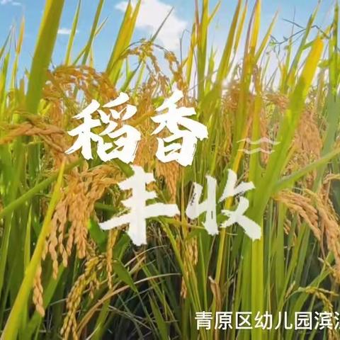 亲子定向野趣——稻花香里说丰年