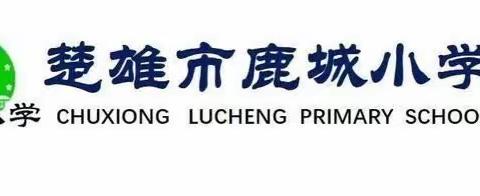 立足教研          携手共进————鹿城小学云荫寺校区三年级数学组第五次教研活动纪实