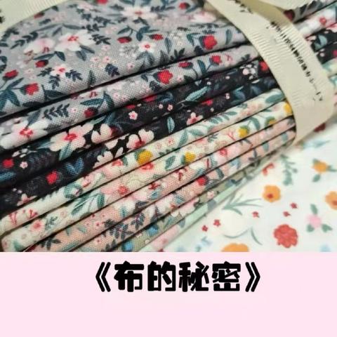 【班本课程】“布”一样的世界