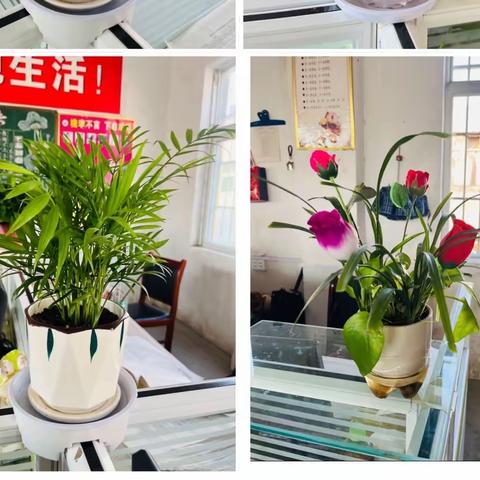 “方寸之地，皆为热爱”——枣阳市琚湾镇蔡阳中学举办最美办公室评比活动