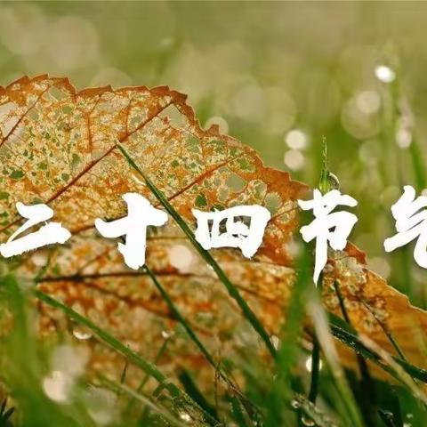 芳林路小学二十四节气课程